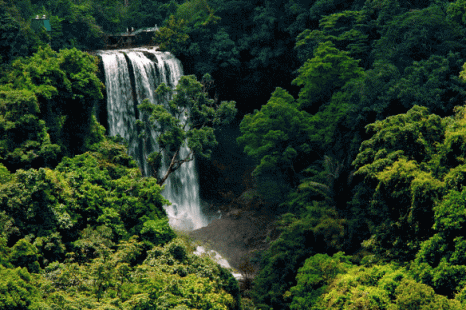 Tour Du Lịch Đà Lạt - Bảo Lộc - Madagui 4 Ngày 3 Đêm